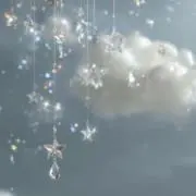 ぽぽ