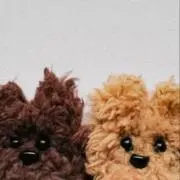 くまおの画像
