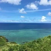 しろの画像