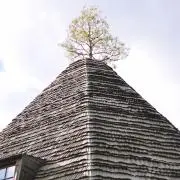 ひぃ