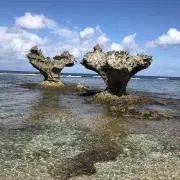 COCOSUKEの画像