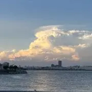 りんりんの画像