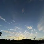 ZEROの画像