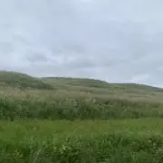 popocoの画像