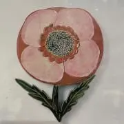 なななつの画像