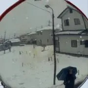 だな