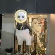 ☆ちん☆