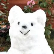 ぷんの画像