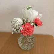 kumanekoの画像
