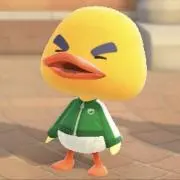 りゃーとの画像