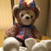 さゆの画像