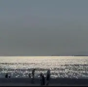 めいの画像