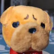 よりあの画像