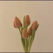 ぬん