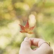 ma