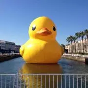 ゆららん♫