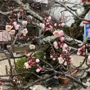 てぃえんびー