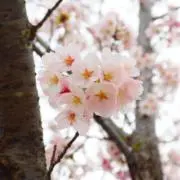 noa☺︎プロフィール必読お願いしますの画像