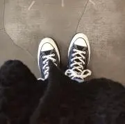 WinterBearの画像