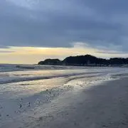 かるしうむの画像