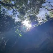 山田