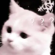 蓮の画像