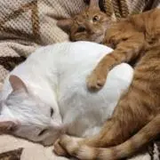 じりじり