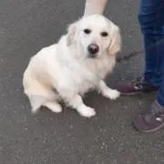 みつおの画像