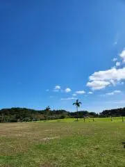 南の島　☆週末セール☆の画像