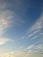 よしの画像