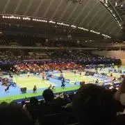 あんもち