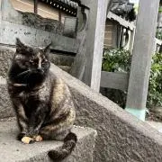 mmの画像