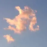 マルゴー