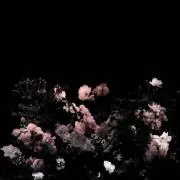 ユイの画像