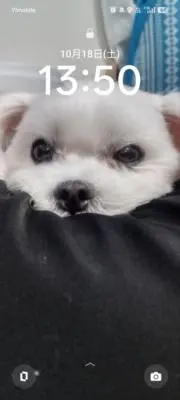はるまき