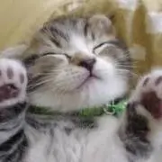 かの