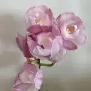 フルール