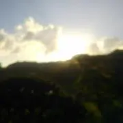 タマムの画像