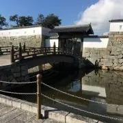 義経の画像