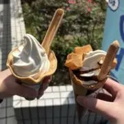 蒼の画像