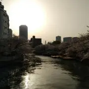 ipaの画像