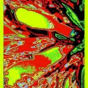 ebisenの画像