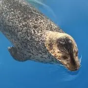 もっぷの画像