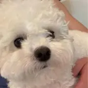 ☆5-go-Go⭐︎の画像