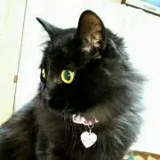 ニコニコ☆【当日送手続き】の画像