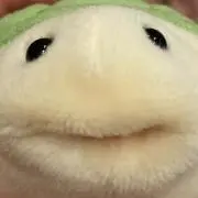 マリガガの画像