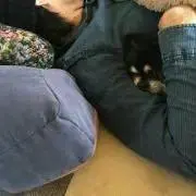 まめU^ェ^U