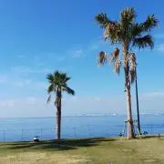 ふゆの画像