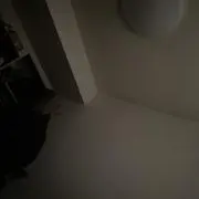 あの画像