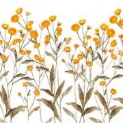 しるこっとんの画像